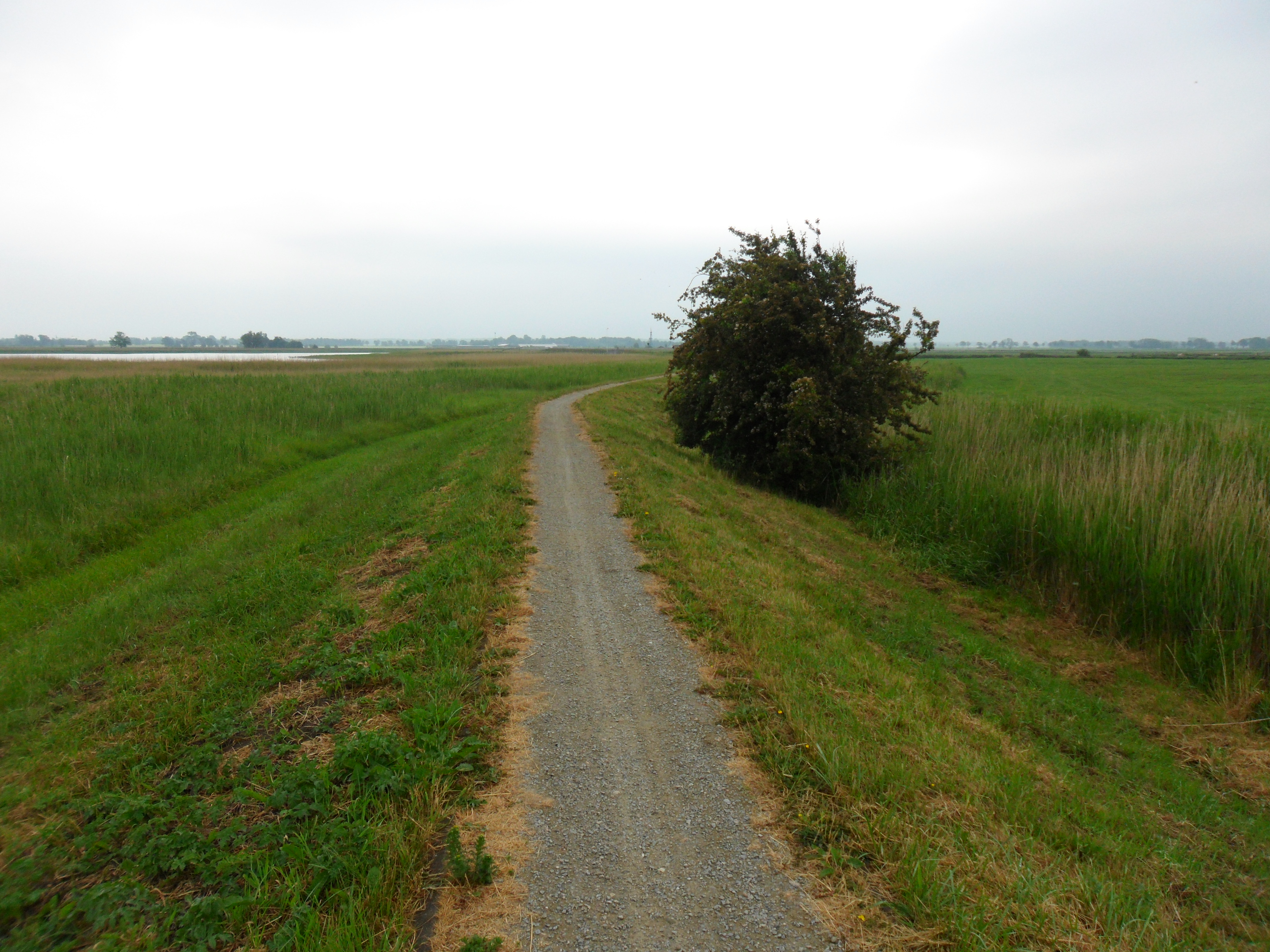 Auf der Deichkrone bei Flemendorf