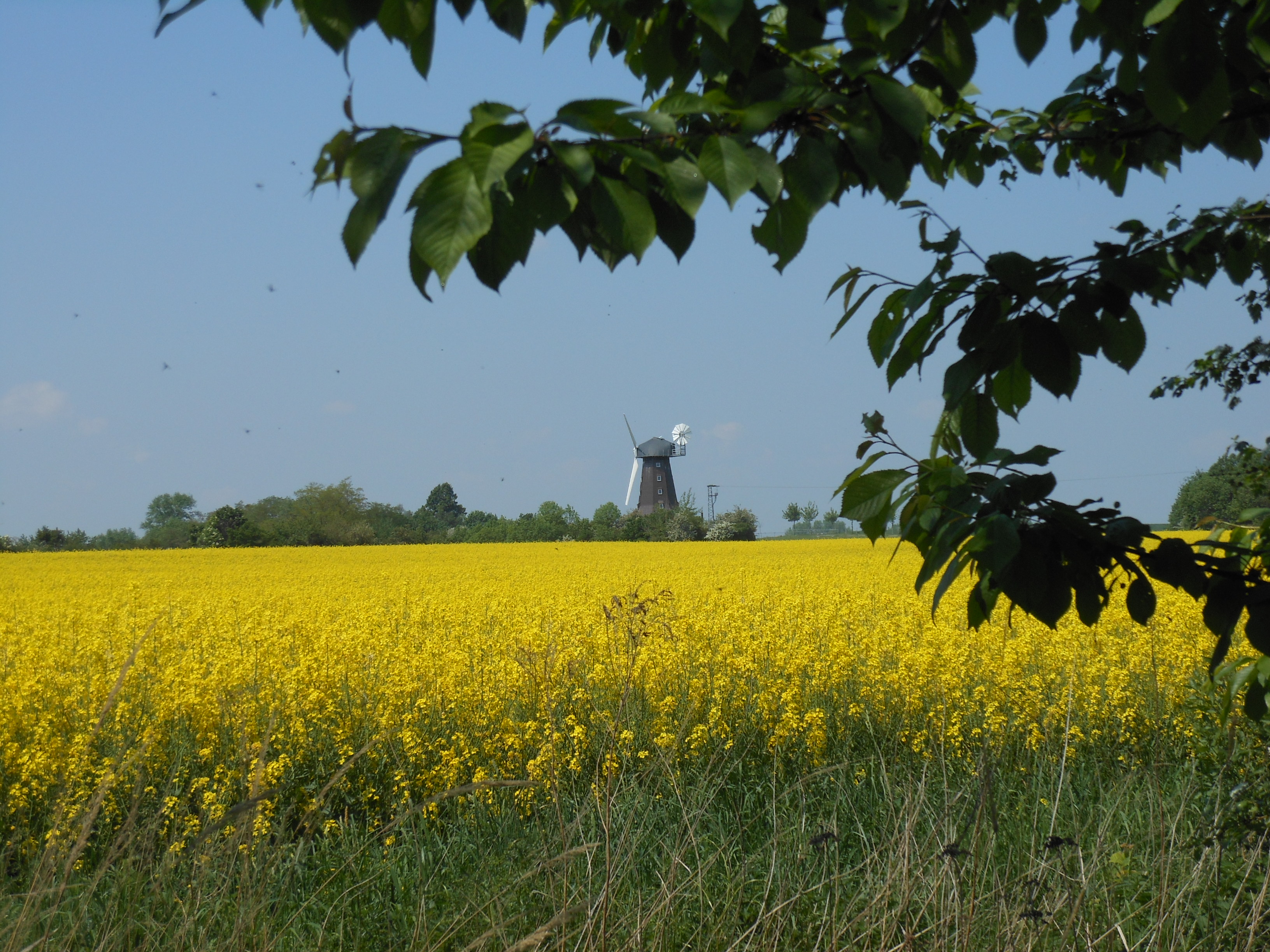 Neuholländermühle Wyhra